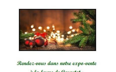 Joyeuses fêtes de Noël 2022-2023 Notre Catalogue