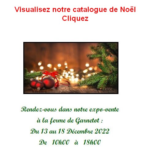 Joyeuses fêtes de Noël 2022-2023 Notre Catalogue